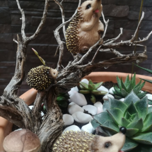 Mini jardín con suculentas, piedras blancas y una figura decorativa de un erizo sobre un tronco, con un ambiente natural y detallado.