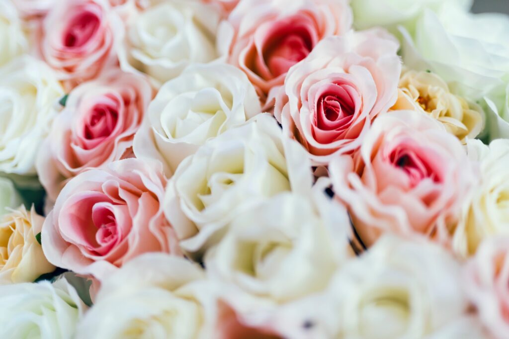 Conjunto de rosas en tonos pastel, que incluyen blanco, crema, rosado claro y durazno, dispuestas de manera apretada para crear un efecto suave y romántico.
