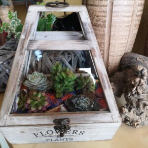 Terrario en forma de casa rústica de madera y vidrio con suculentas y piedras decorativas en su interior.
