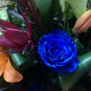 Rosa azul brillante en un arreglo floral rodeada de lirios naranjas, hojas verdes y follaje rojo oscuro.