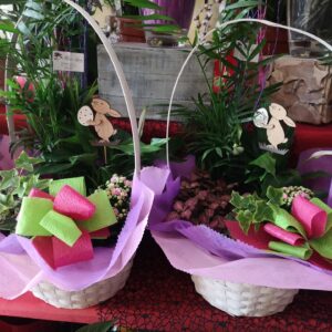 Cesta Silvestre de Pascua